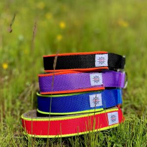 Hundhalsband Special